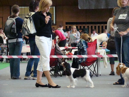 BIAŁA ARGENTYNA z Kr&oacute;lewskiego Dworu